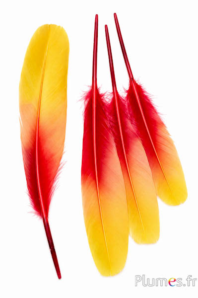Zwaan zijde - 25-30 cm - rood-geel